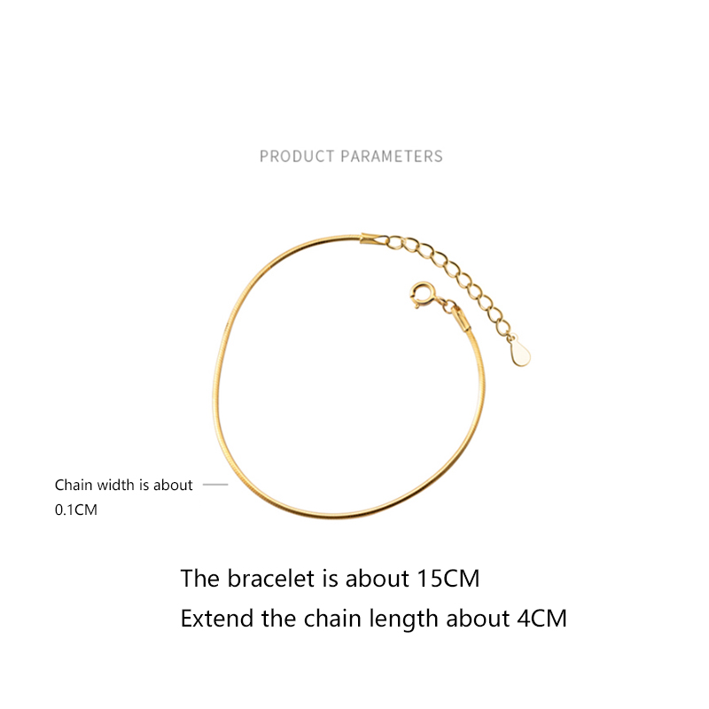 WOOZU 925 Sterling Silver Korean Glossy Snake Bone Chain Bracelets For Women Statement European Hip Hop Exquisite Jewelry Gift
