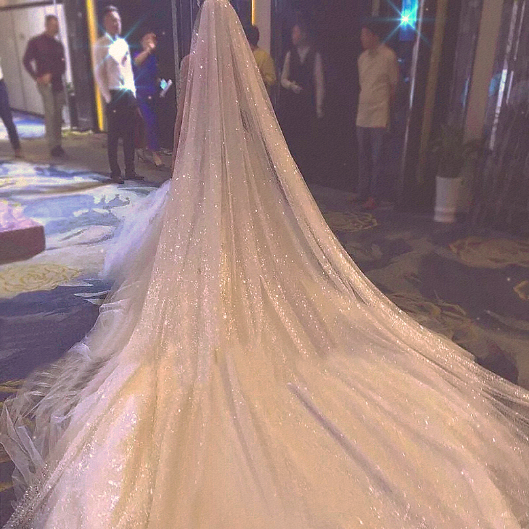 TOPQUEEN V101 2 Tier Luxury Bridal Veils Double Tier Gitter Wedding Veil Sparkle Veil Champagne Colored Wedding Veils with Comb