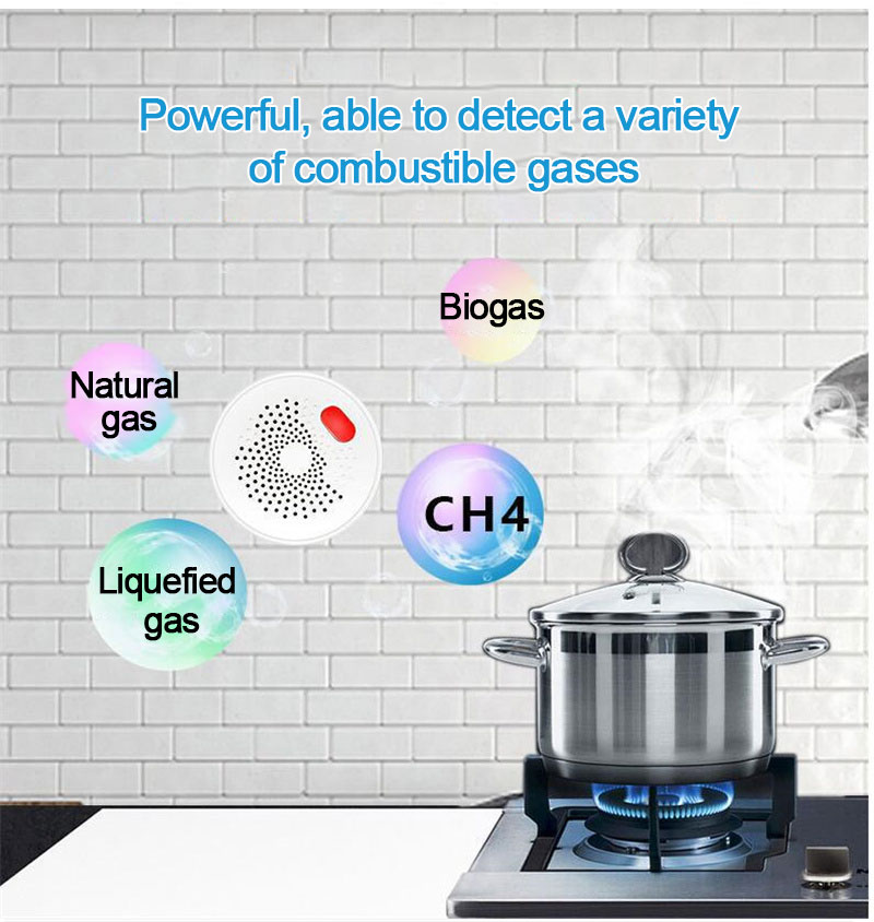 Tuya Combustible Gas Detector Built In Methane Natural Gas Sensor Smart Home Security Siren Wifi Gas Alarm Work With Smart Life