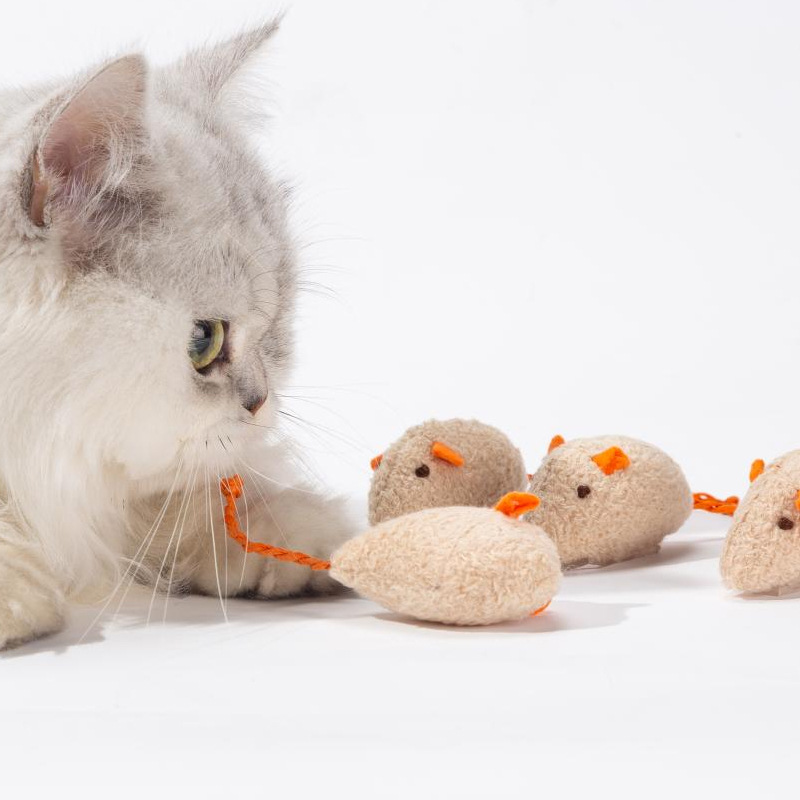 3pcs Mix simulation Mouse Cat Toys Catnip Funny Playing Kitten interactive chase Soft Toy Bite Resistant Durable Pet Supplies