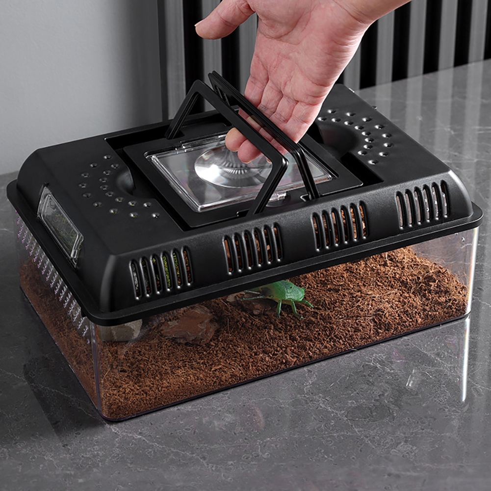 Reptile Terrarium Turtle Breeding Box Feeding Hatching Container Reptile Tank Reptile Carrier With Handle For Reptiles Amphibian