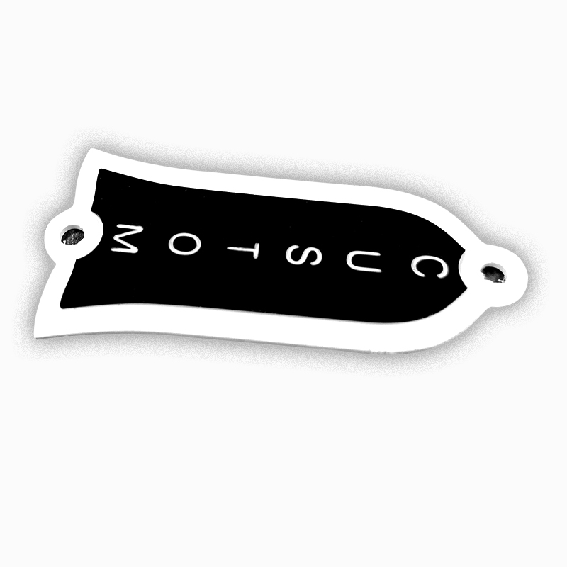 Electric guitar Truss Rod Cover Plate for LP Standard Grave Custom 2 holes