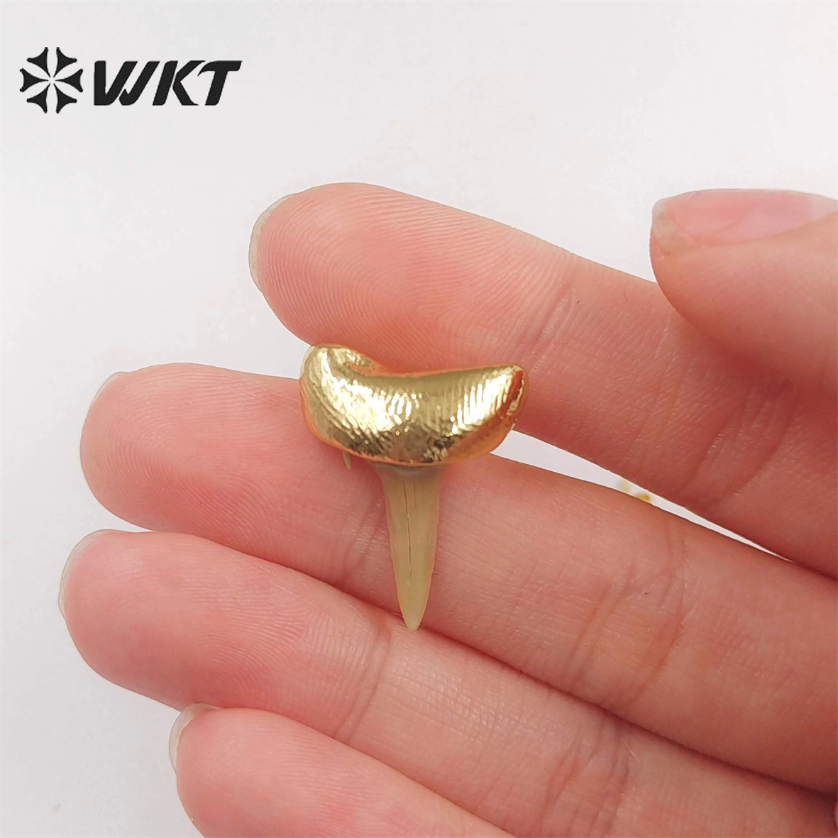 WT-E715 New Unique Specimen Tooth Earrings 18k Gold Plated Fine Jewelry Studs For Women Gift Boho Style Accessories