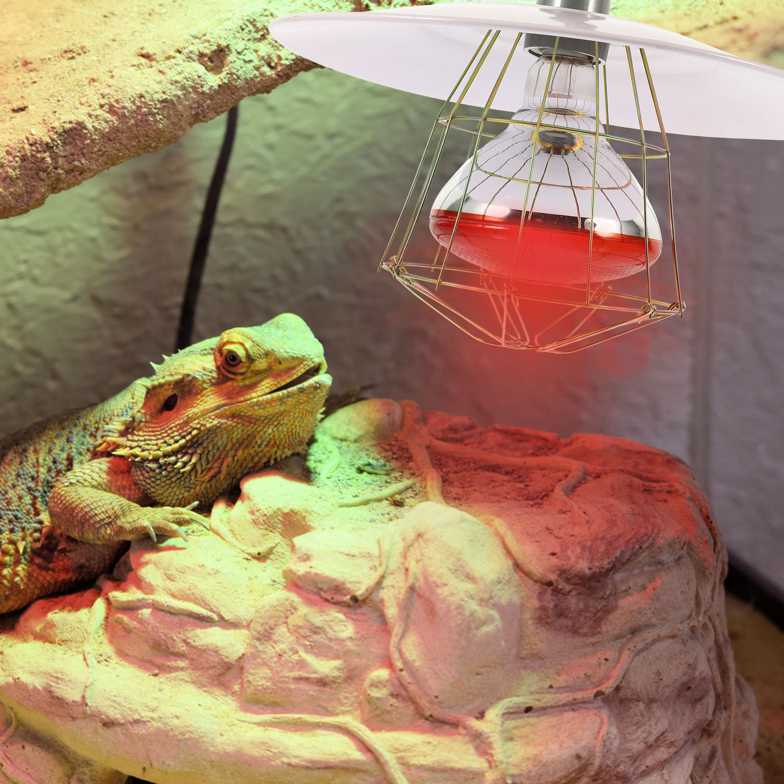 Heat Lamp Set Convenient Heating Cage Light Reptile Warmer Small Pig Accessory Livestock Baby Playpen