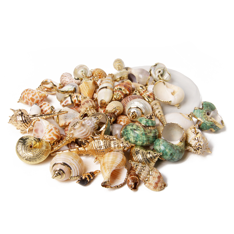 Wholesale Sea Shell Pendants For DIY Making Jewelry Accessory Necklace 2-10 pcs Irregular Conch Plated Cowries Charm Earrings