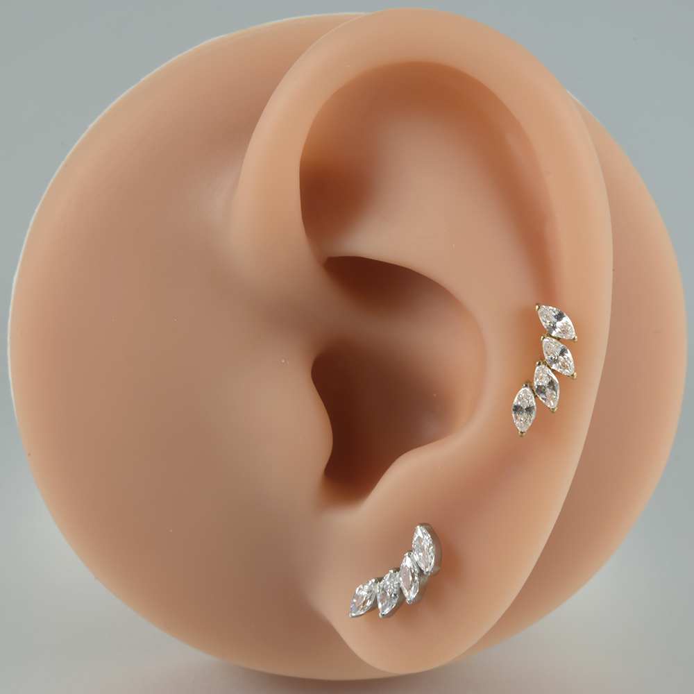 1PC G23 Titanium Marquise Cz Dog Paw Leaf Labret Lip Stud Ear Cartilage Tragus Helix Earring Daith Lobe Piercing Body Jewelry