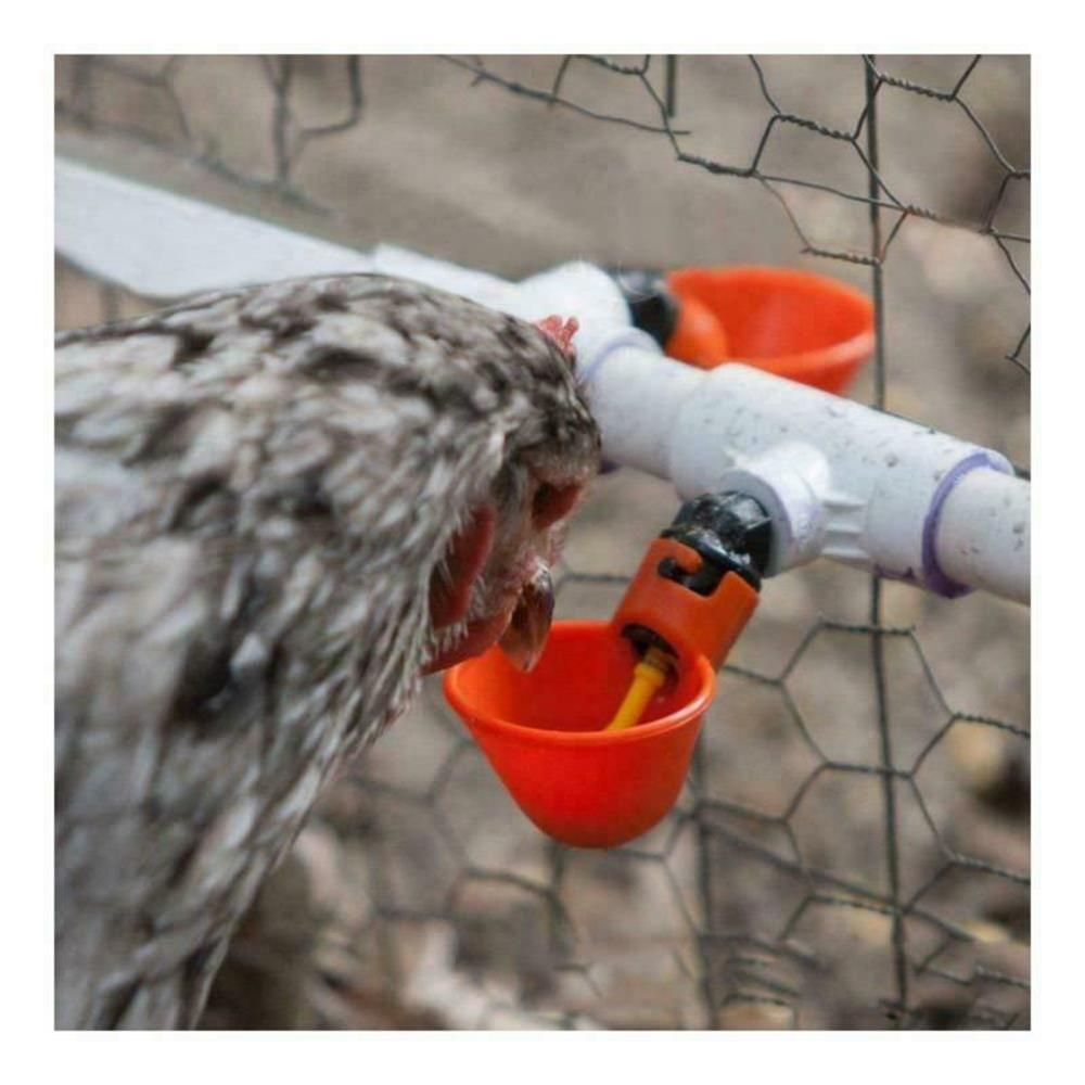 10/20 Pcs Poultry Water Drinking Cups Chicken Hen Plastic Automatic Drinker Farm Bird Chicken Coop Feed Fowl Bowl