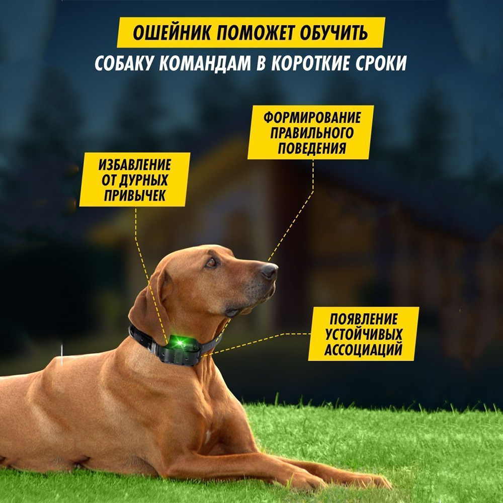 Dog Shock Collar with Remote -Dog Training Collar for Large Medium Small Dogs Waterproof Rechargeable E Collar wit