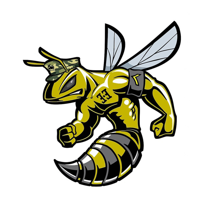 Hot Reflective Car Stickers Terror Blue Hornet Wasp Decals for Motorcycle Car A4 Car Decorative KK Apply To Car Window window