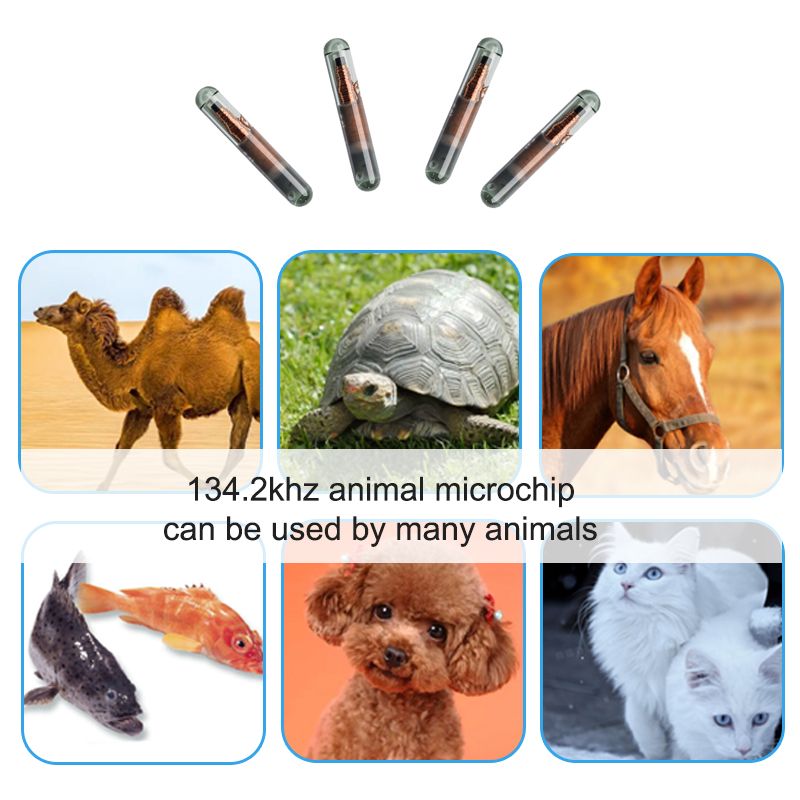 134.2KHz FDX-A 1.4*8mm/2.12*12mm animal implant 10 digits RFID glass tag identifier microchip for fish ID arowana micro chip