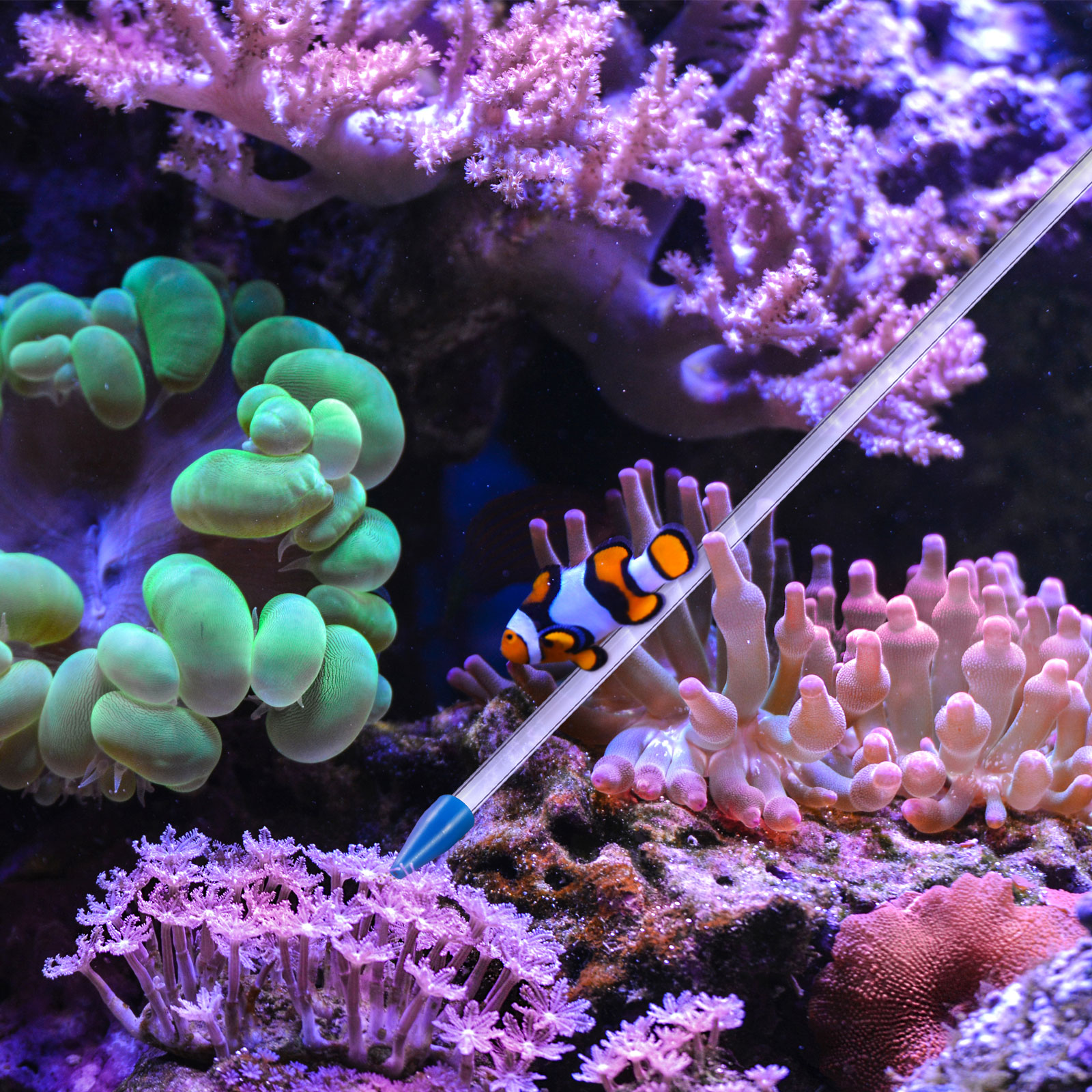 Fish Tank Light Coral Feeder Bowl Feeding Tube Syringe Long Pipette for Dispensing