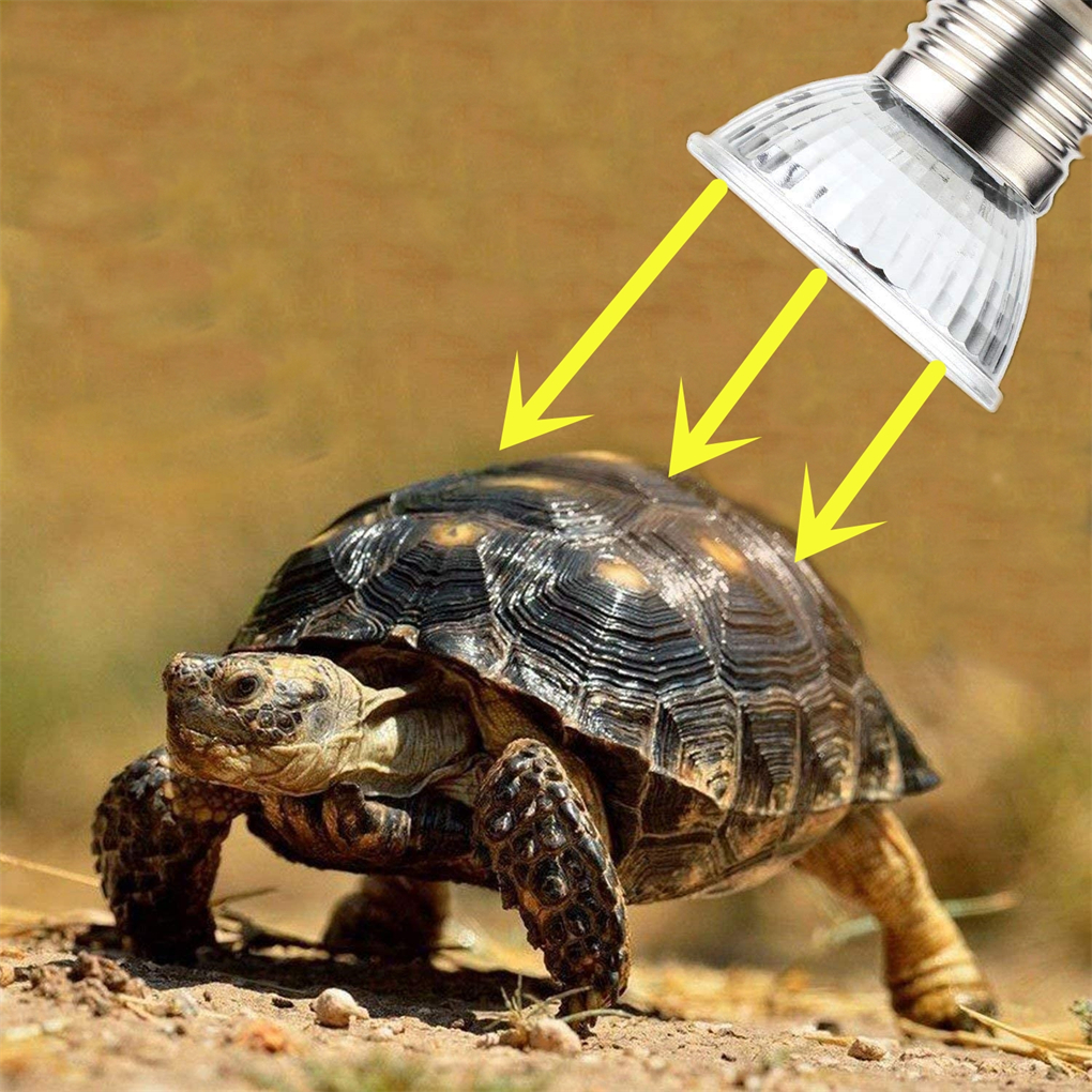 Reptiles Animal Heating Lamp Growth Full Spectrum Sunlamp Temperature Control Universal Warm Light Accessories