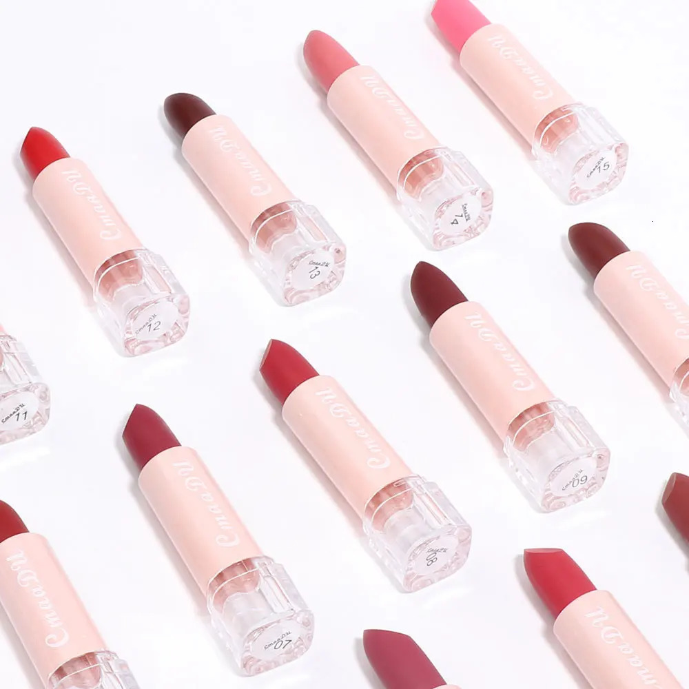 Lipstick 15 color lipstick matte waterproof womens gift classic lipstick 240705