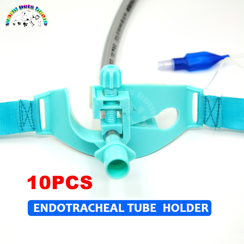 10pcs Endotracheal Tube Holder Plastic Endotracheal Tube Fixer