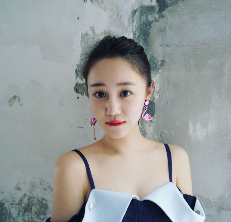 New Arrival Big Acrylic Flamingo Tassel Long Earrings For Women Punk Big Birds Long Dangle Earrings Female Brincos Party Jewelry