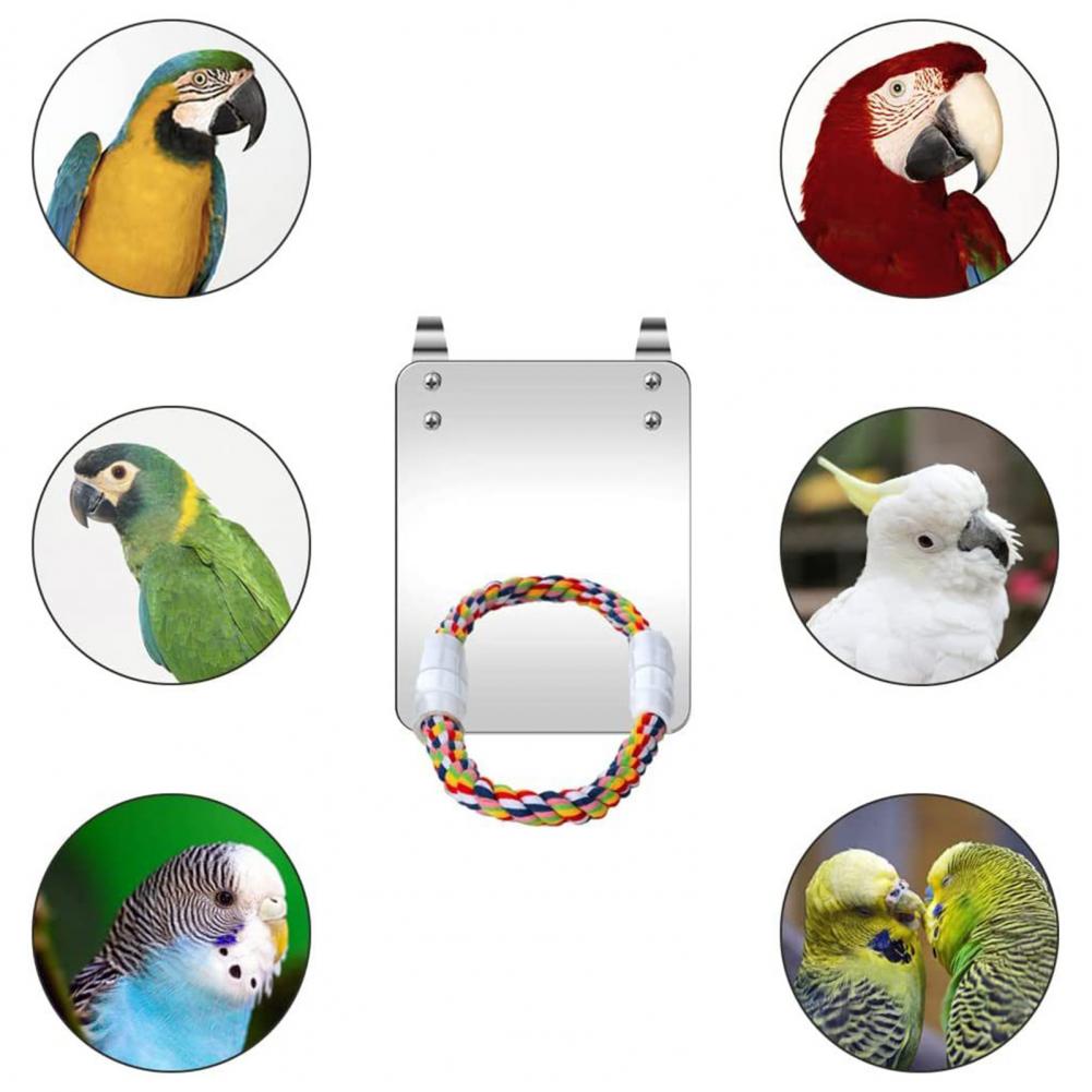 2025 new Gray Parrots Colorful Hanging Parrot Toy with Mirror Rope Perch Lovebirds for Greys