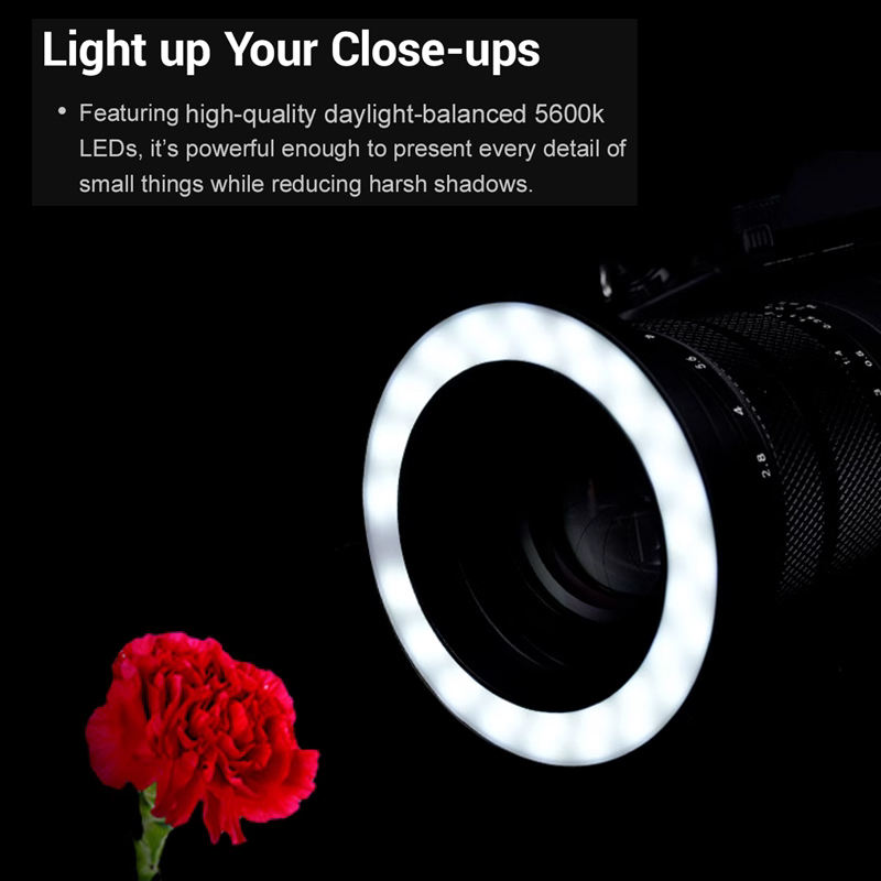 Camera DSLR Photography Lighting Fill Light