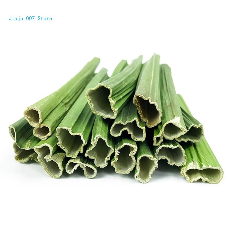 Molar For Rabbit Hamsters Chew Rabbit Chew Toy For Teeth Hamsters Chew Toy Papayas Small Animal Chew C9GA