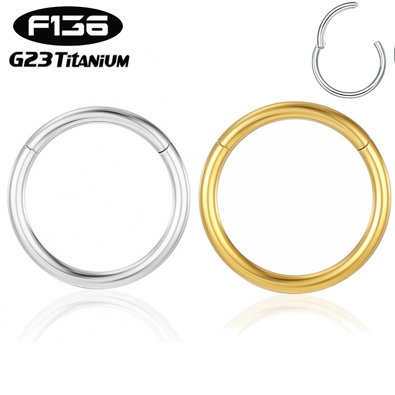 1PC G23 Titanium Piercing Jewelry Wholesale 16G Nose Rings Clicker Hinged Segment Hoop Earrings Helix Cartilage Daith Ear Clips