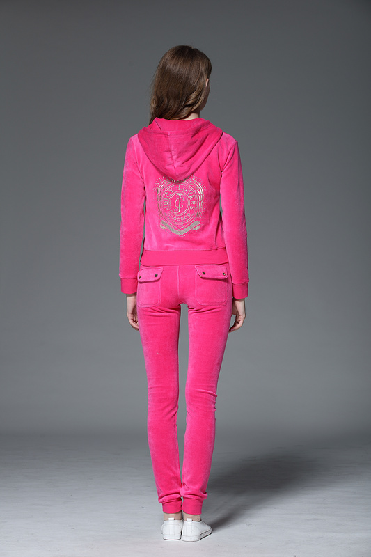 2017 High Quality Slim Women Casual Suits Size S-XL Zipper Fly Lady Tracksuits Hooded Collar Lady Popular Sportswear 904#