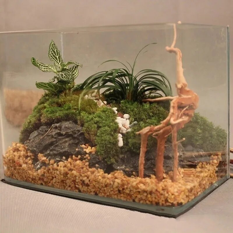 Natural Driftwood Cuckoo Roots Dead-wood Tree Trunk Micro Landscape Creative Reptile Cylinder Fish Tank Ornament Aquarium Decor