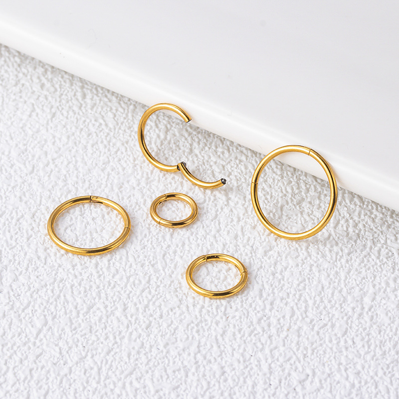 1PC G23 Titanium Piercing Jewelry Wholesale 16G Nose Rings Clicker Hinged Segment Hoop Earrings Helix Cartilage Daith Ear Clips