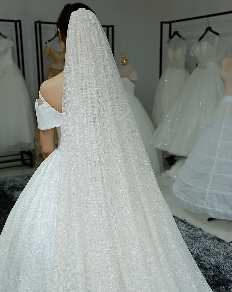 TOPQUEEN V101 2 Tier Luxury Bridal Veils Double Tier Gitter Wedding Veil Sparkle Veil Champagne Colored Wedding Veils with Comb