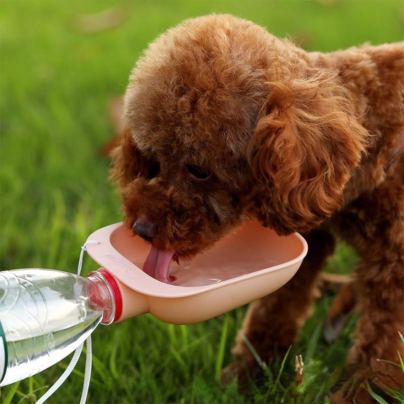 Dog Travel Water Bottle Portable Pet Dog Cat Outdoor Water Bottle Drinking Water Feeder Pet Supplies Dog Bowl Dog Accessories