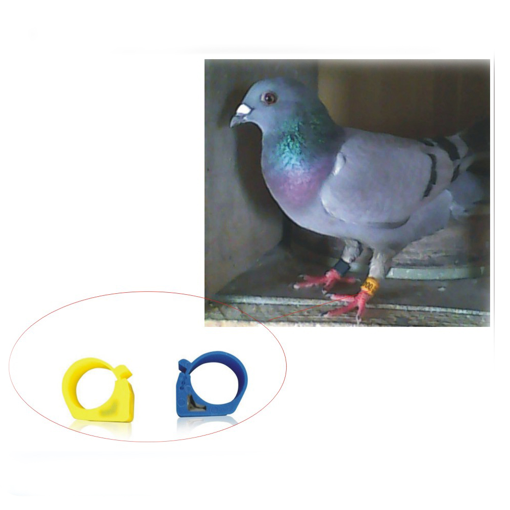 100pcs colors 125KHZ TK4100 chip card footstags / pigeons ring tag/chicken foot RFID tags