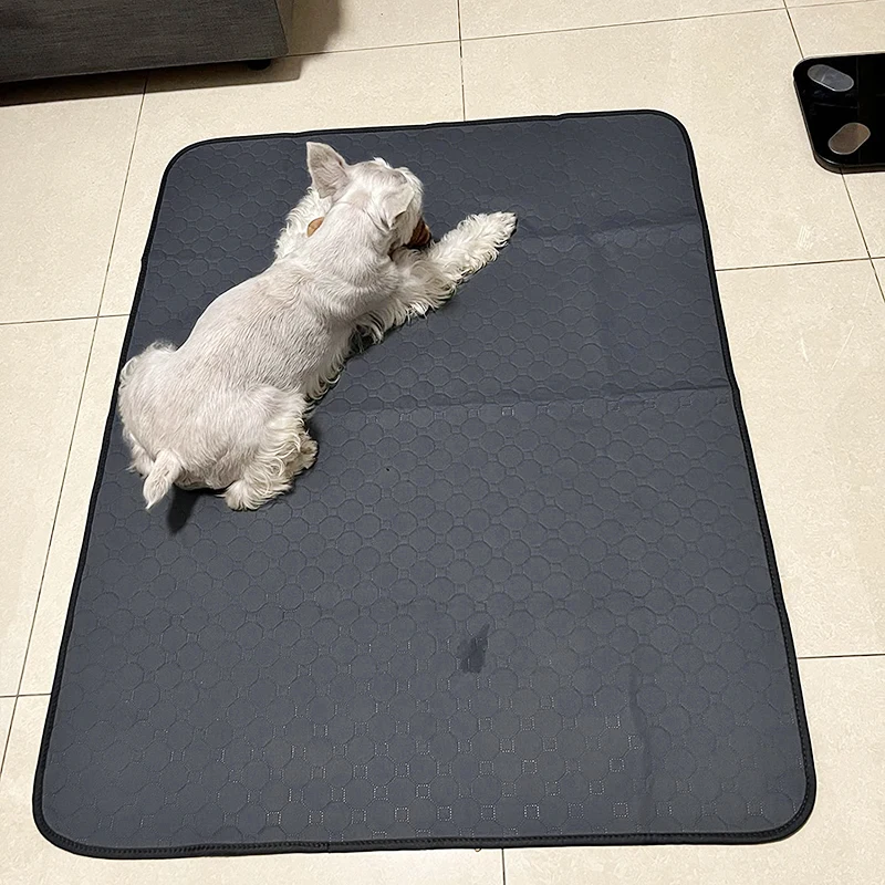 Reusable Pet Pee Pad Washable Puppy Mat Waterproof Dogs Cats Diaper Dog Training Mat Car Seat Cover Travel Mascotas for Dog