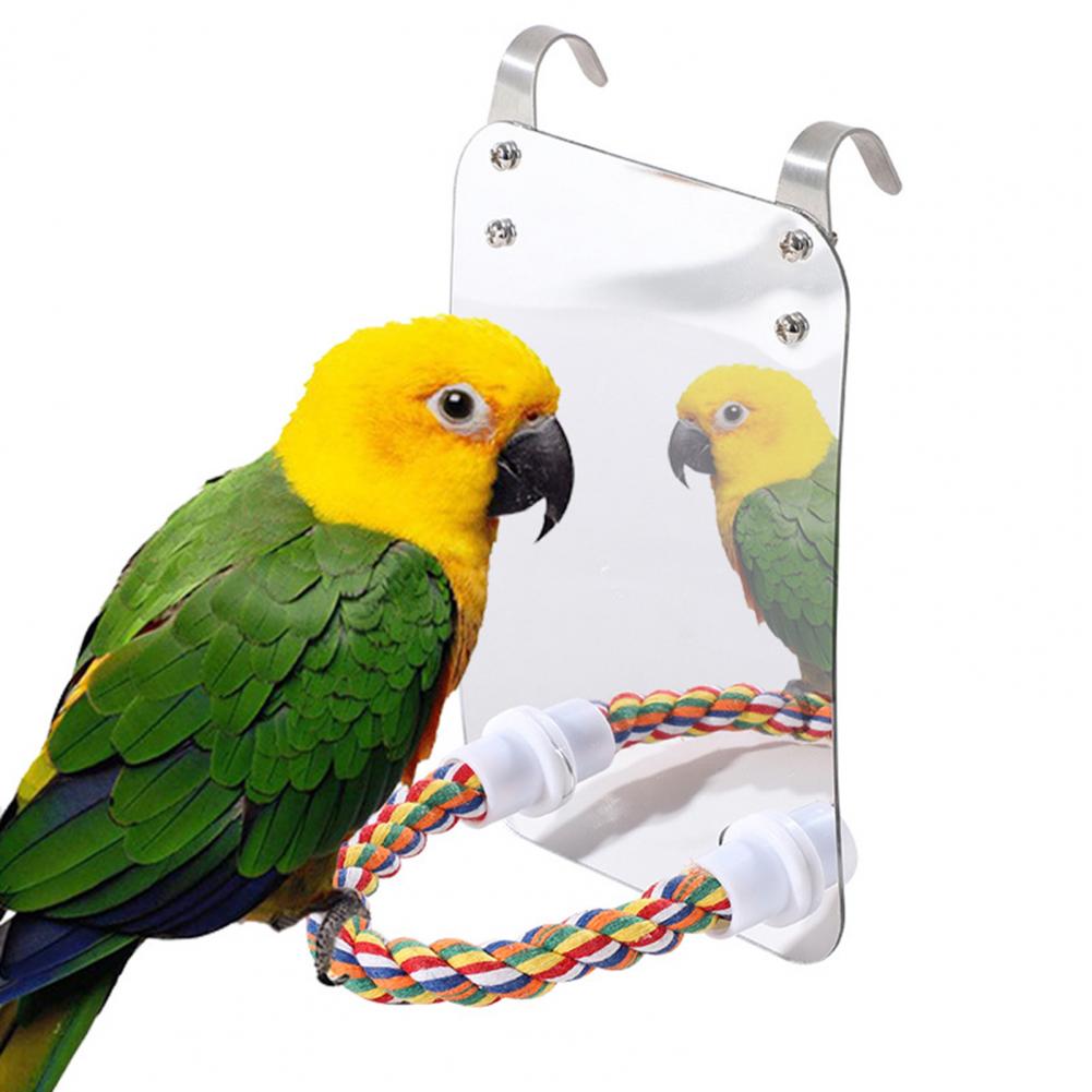 2025 new Gray Parrots Colorful Hanging Parrot Toy with Mirror Rope Perch Lovebirds for Greys