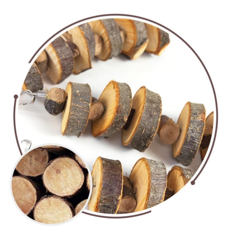 1 pc Random Style Pet Chew Toy Apple Wood Molar Skewers Chew Toys for Small Animal Hamster Rabbit Bird Guinea Pigs Chinchillas