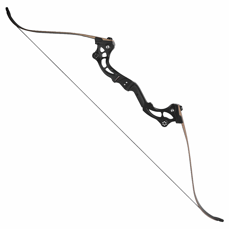 F163 1 Pair Archery Accessories Recurve Bow Limbs 30-55Lbs Fishing Darts Bow and Arrow for Hunting Shooting Training Camping