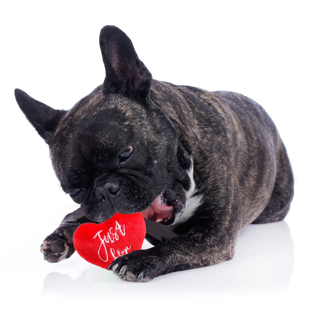 3PCS pet dog toys Valentine's heart shape chew toys for dogs cat dog wearproof toy dog accessories for Dental health