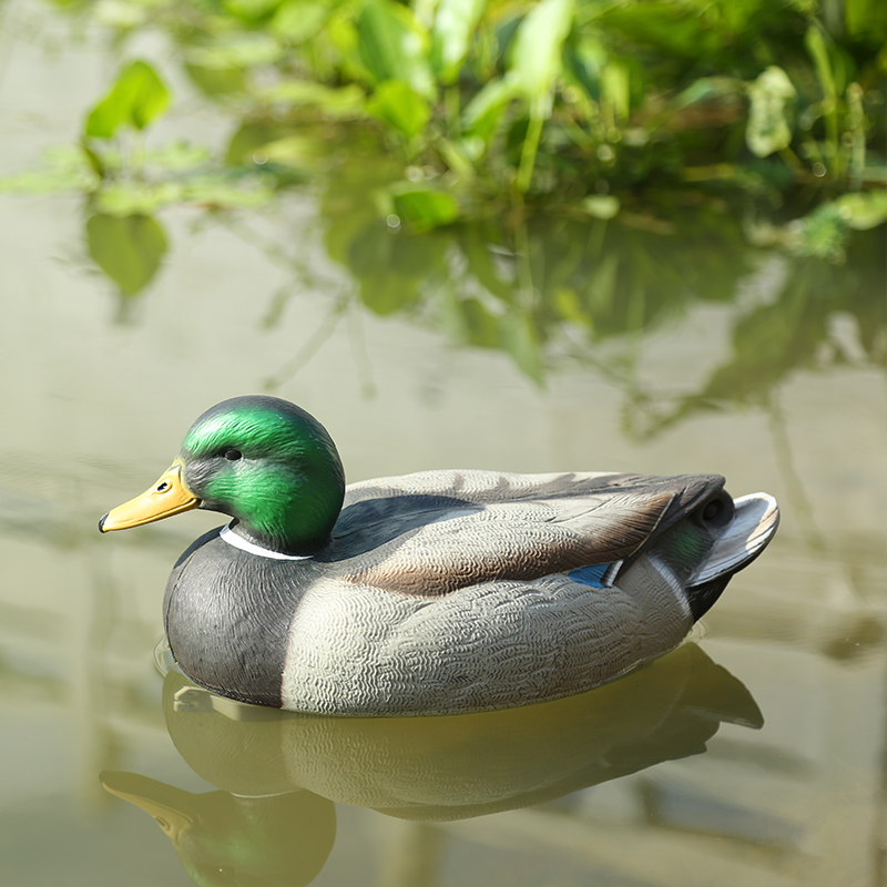 2x Fishing Hunting Decoy Plastic Duck Decoy Drake With Weighted Floating Keel