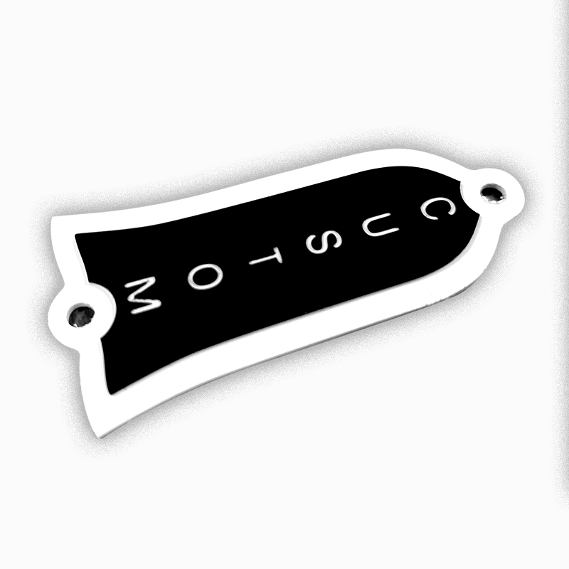 Electric guitar Truss Rod Cover Plate for LP Standard Grave Custom 2 holes