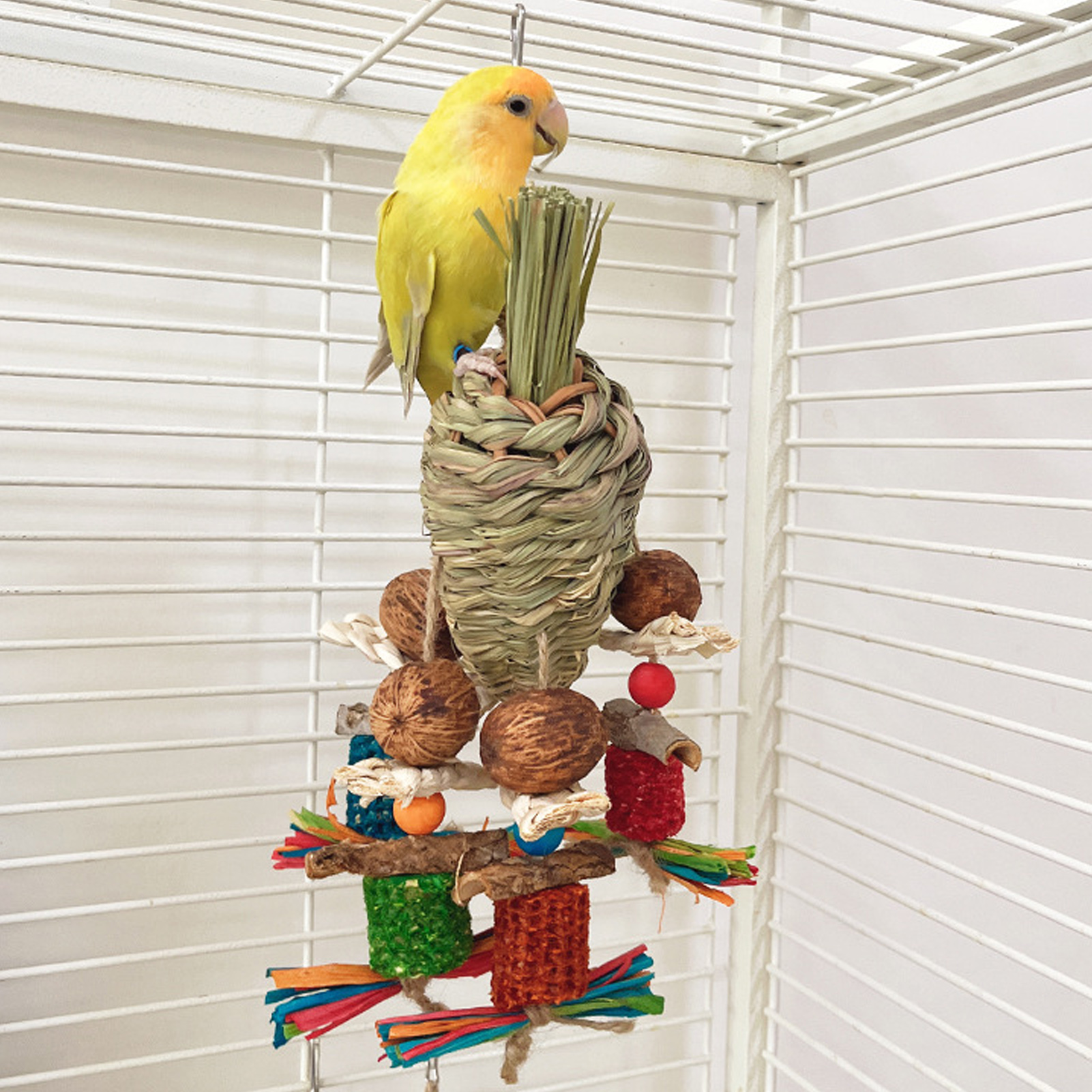 Bird Chew Toy Beak Grinding Colorful Boredom Relief Parrot Bite Toy For Cockatiel Lovebird Budgie