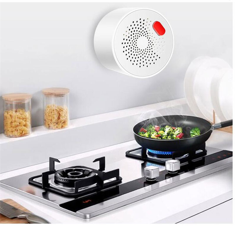 Tuya Combustible Gas Detector Built In Methane Natural Gas Sensor Smart Home Security Siren Wifi Gas Alarm Work With Smart Life