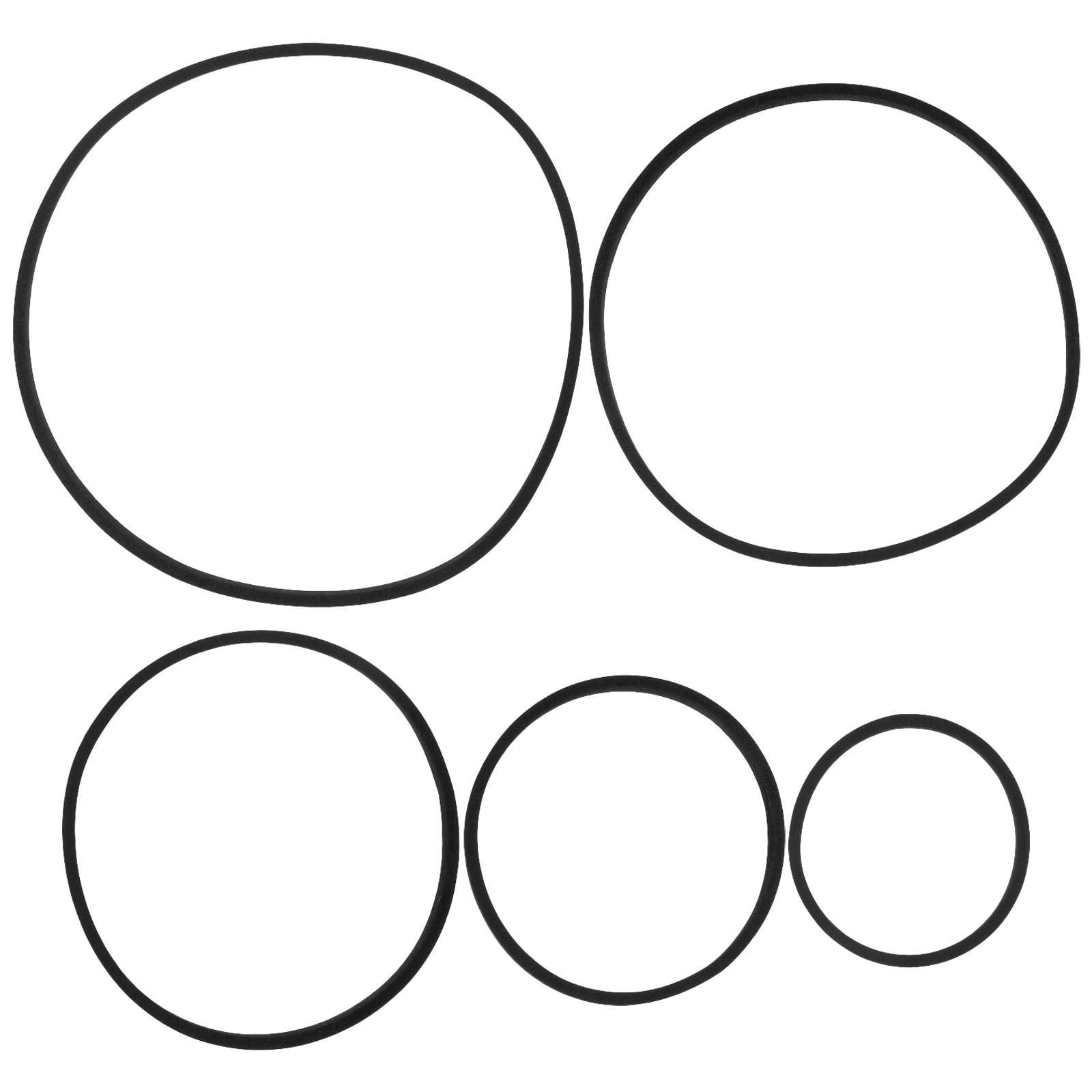 5 Pcs Fish Tank Grass Retaining Ring Pet Feeder Large Aquarium Plants Rings Tool Floating Eva for Holder