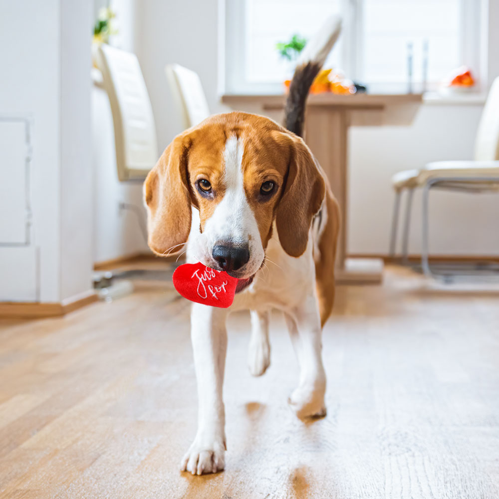 3PCS pet dog toys Valentine's heart shape chew toys for dogs cat dog wearproof toy dog accessories for Dental health