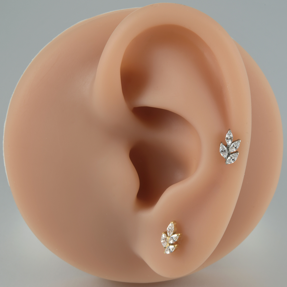 1PC G23 Titanium Marquise Cz Dog Paw Leaf Labret Lip Stud Ear Cartilage Tragus Helix Earring Daith Lobe Piercing Body Jewelry
