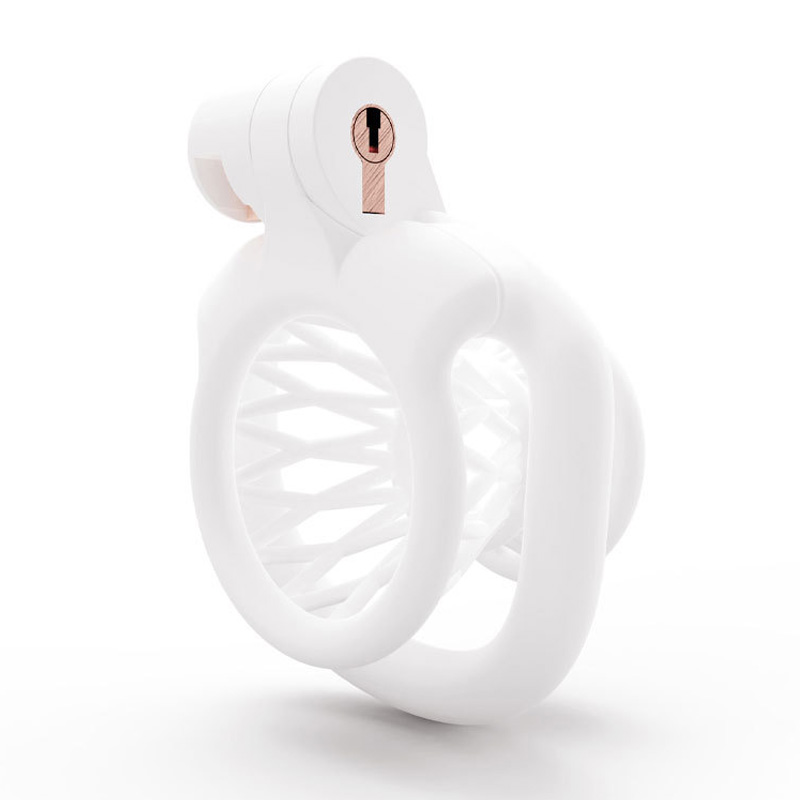 BDSM 2024 Pink Inverted Chastity Cage With 4 Size Cock ring For Man Brutal Adult Games Sissy Penis Ring Adult Erotic Sex Toy 18+