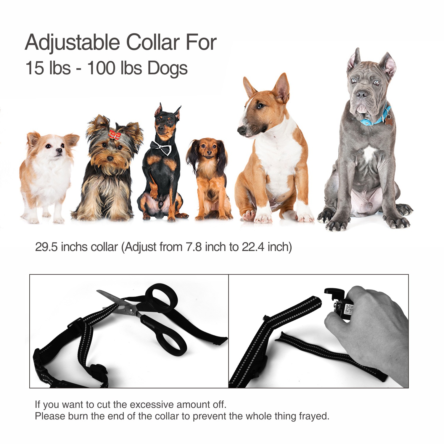 Rechargeable Electric Shock Collar IPX7 Waterproof Dog Training Collar with Remote, Dog Shock Collar for Large Medium Small Dog