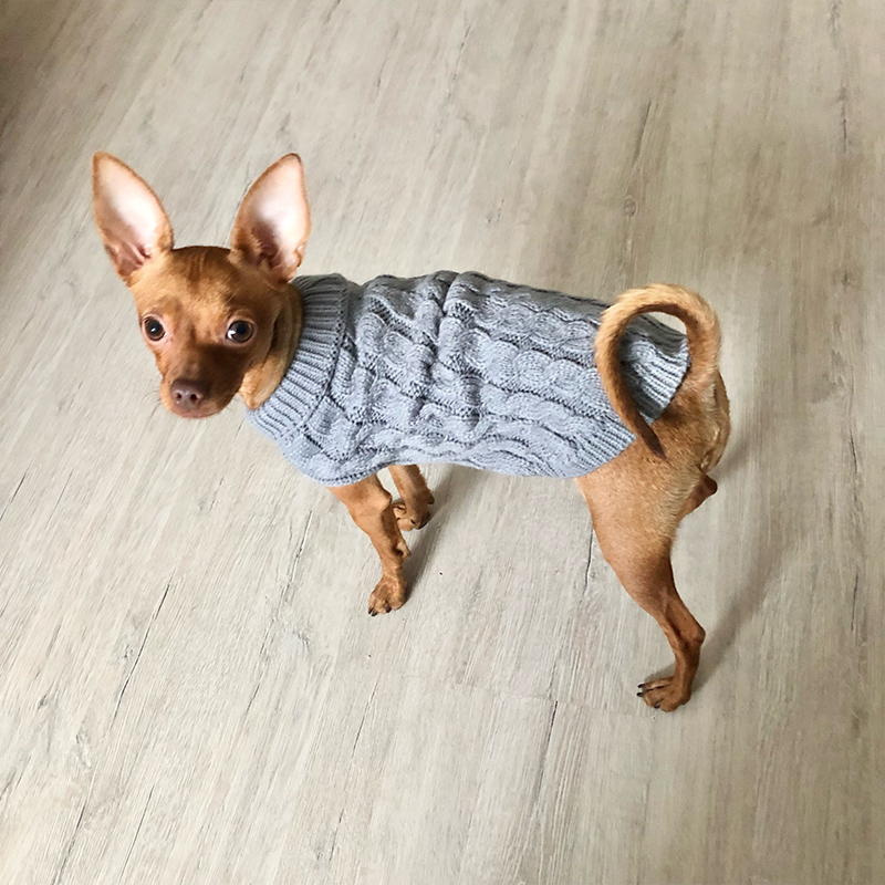 Knitted Dogs Warm Chihuahua for Small Winter Clothes Cat Dog Sweater Pet Accessories Supply
