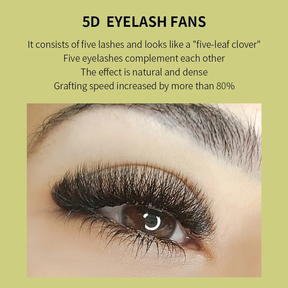 GLAMLASH 3D 4D 5D W Shaped Eyelash Lashes Easy Fan Eyelash Extensions Wholesales YY Premade Volume 12 Rows W Style Natural Soft 240624