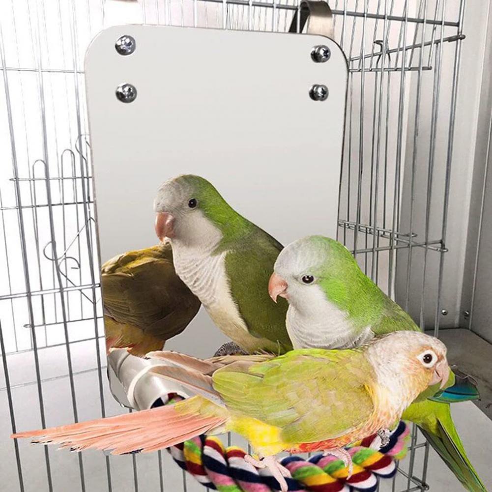 2025 new Gray Parrots Colorful Hanging Parrot Toy with Mirror Rope Perch Lovebirds for Greys