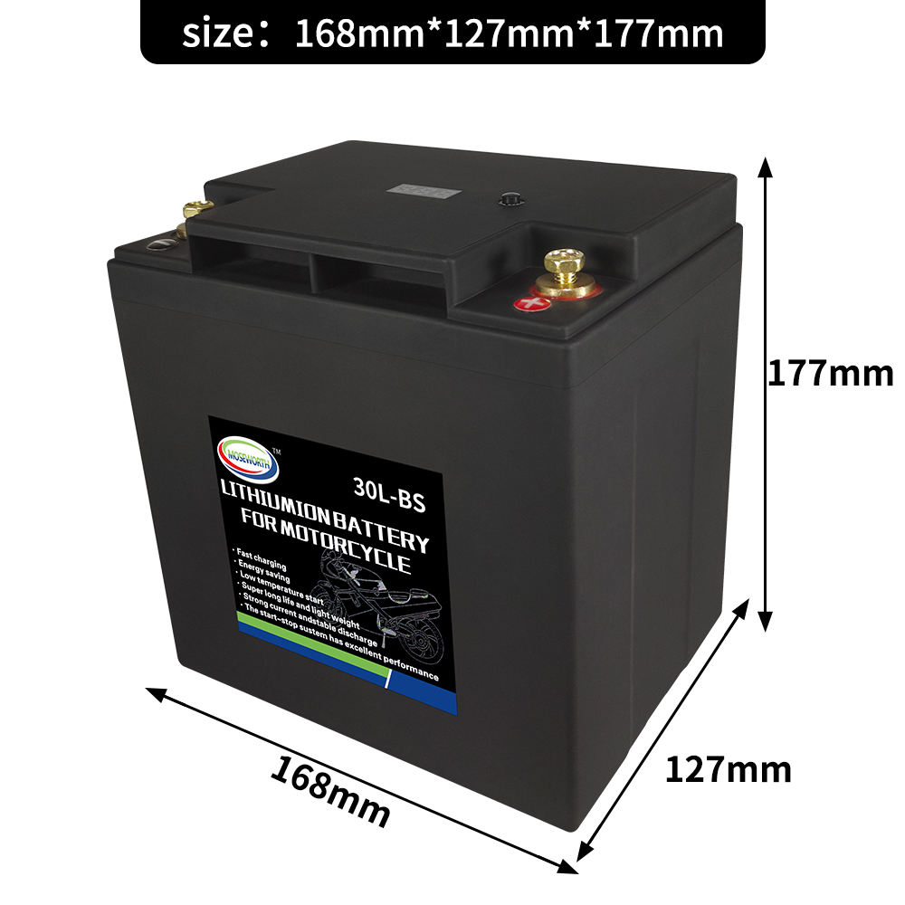 30L-BS 12V Motorcycle Battery with BMS LiFePO4 lithium Portable Rechargeable Battery Jump Starter For Electric Moped ATV UTV