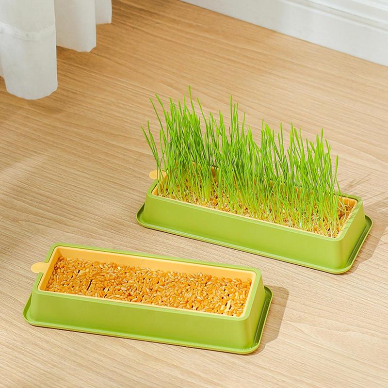 Cat Snack Cat Mint Planting Hydroponic Box Cat Grass Growing Kit Cat Sprout DishMultifunctional For Veterinary Garden Supplies