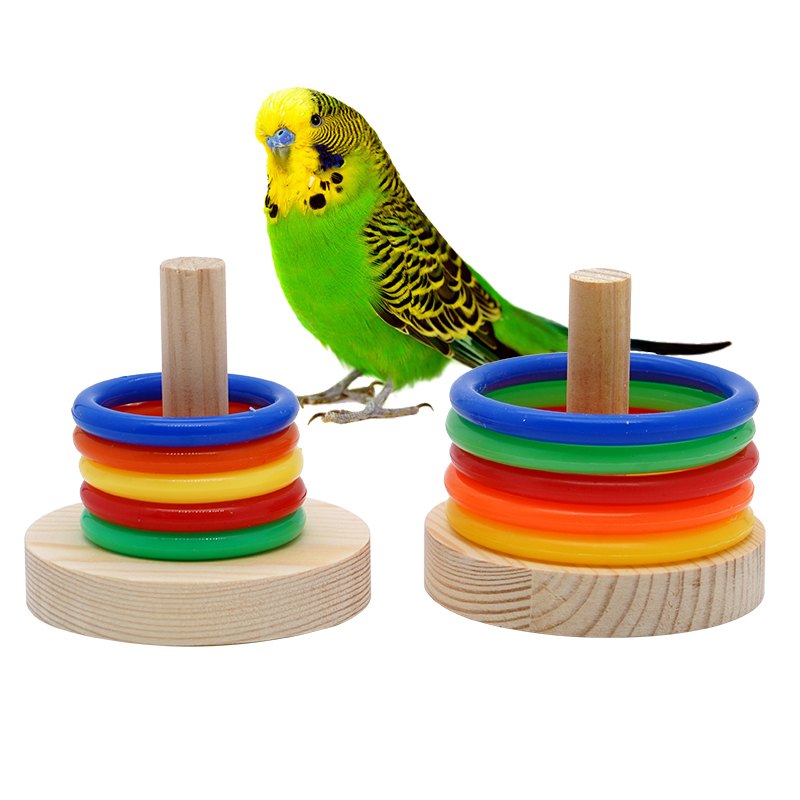 Bird Training Toy Parrot Bite Chewing Toy Pet Bird Swing Ball Standing Toy Plastic Rings Training Intelligence Toy Game Supplies