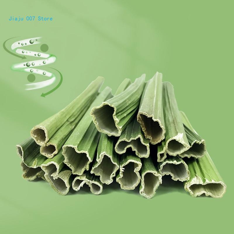 Molar For Rabbit Hamsters Chew Rabbit Chew Toy For Teeth Hamsters Chew Toy Papayas Small Animal Chew C9GA